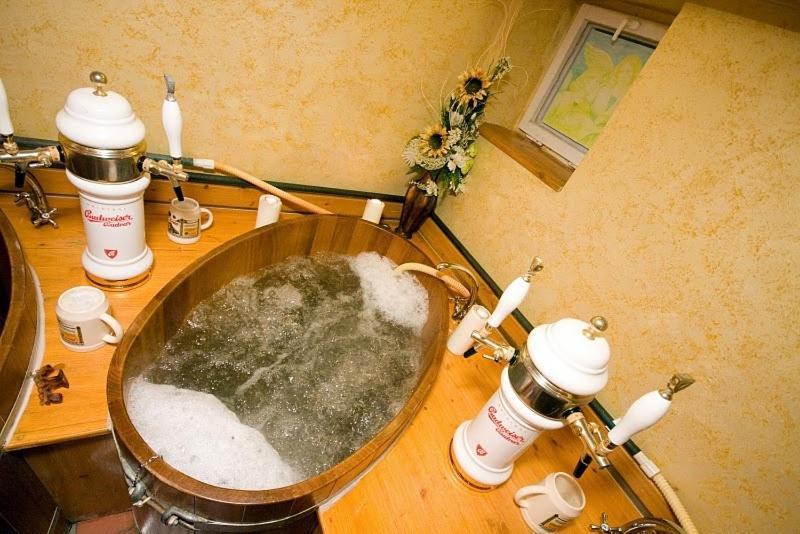 Wellness Hotel Bahenec Ngoại thất bức ảnh